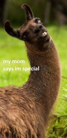 my mom says I'm special